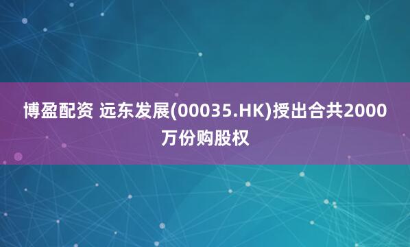 博盈配资 远东发展(00035.HK)授出合共2000万份购股权